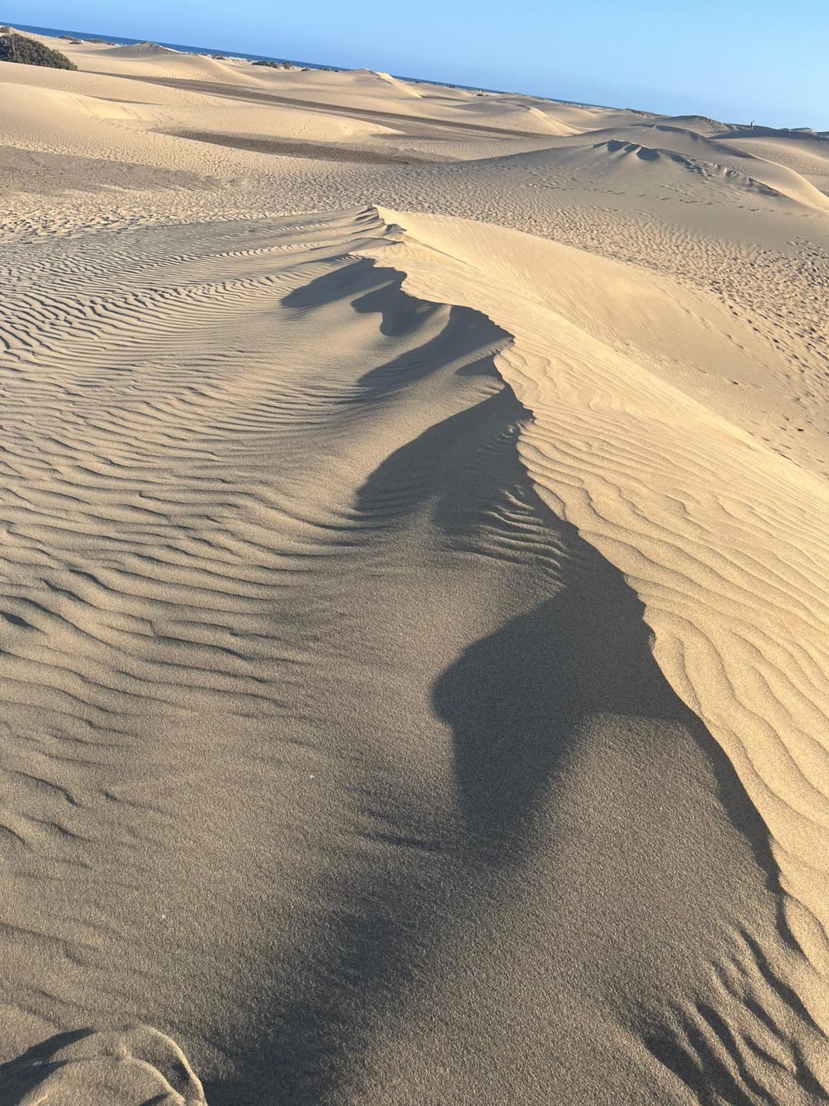 Desert sand patterns